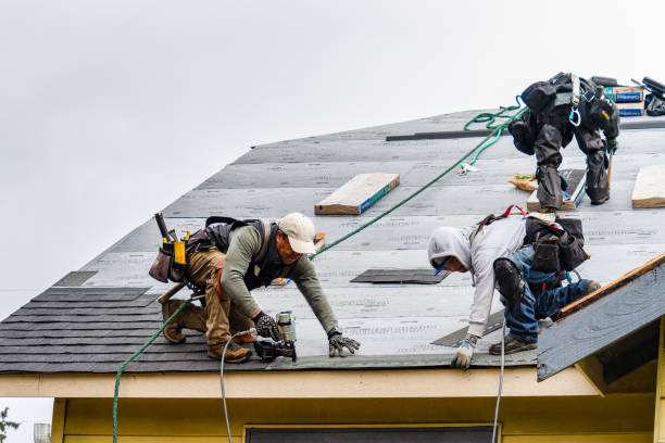 Professional Gutter Installation technician working in Bear River City, UT